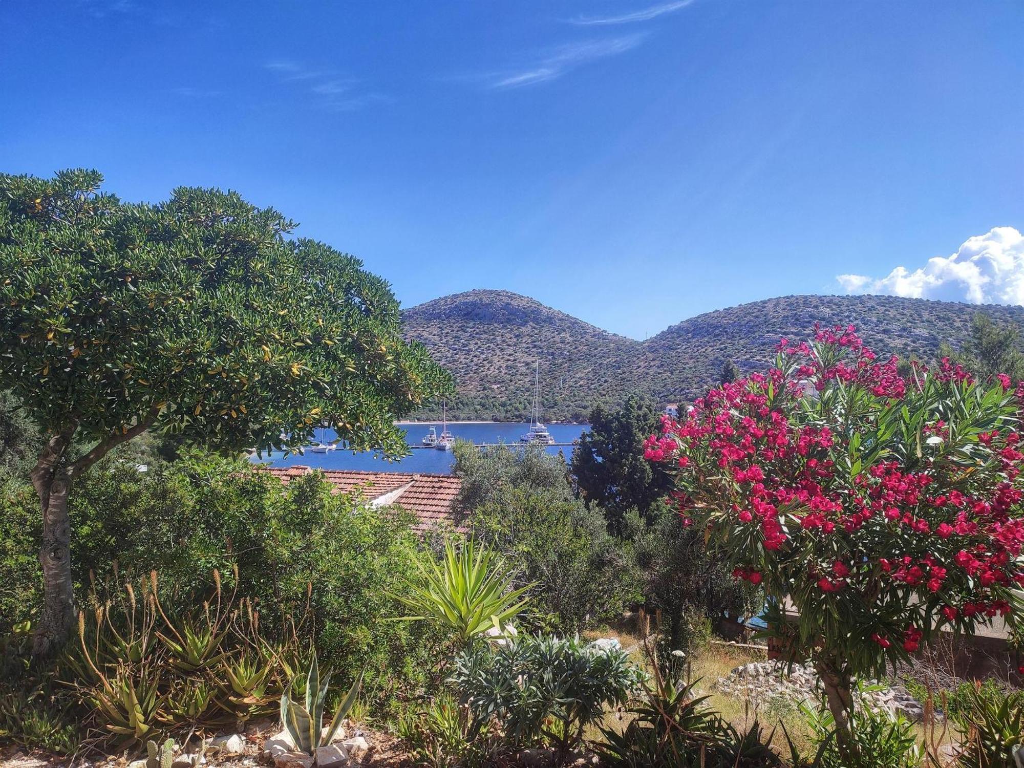 Apartments Vesna Lastovo エクステリア 写真